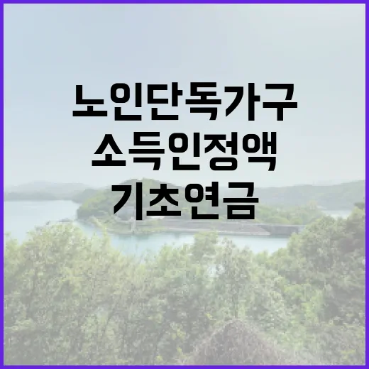 기초연금 노인 단독…