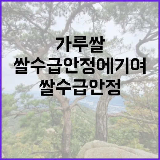 가루쌀 쌀 수급 안정에 기여하는 비밀!