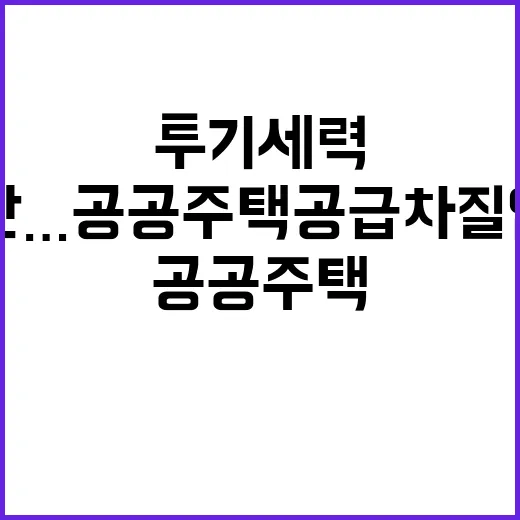 투기세력 엄단…공공…