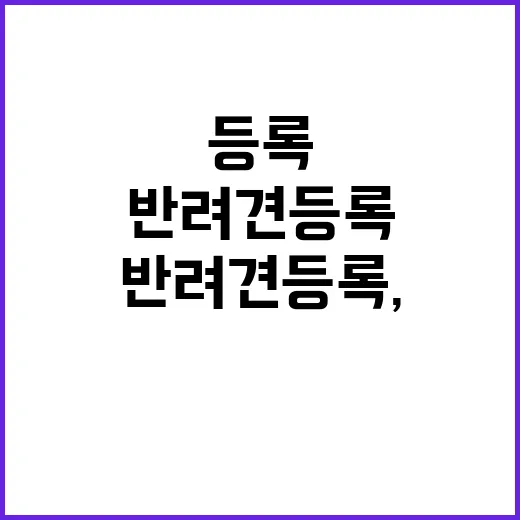 반려견 등록, 과태료 면제 기회 절대 놓치지 마세요!