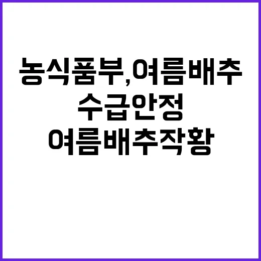 농식품부, 지자체 동물보호센터 혹서기 점검 강행!