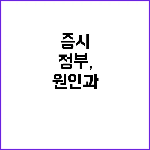 정부, 증시 조정 원인과 대응책 공개! 당신은?