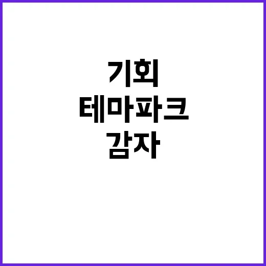 감자 사업기회 테마…