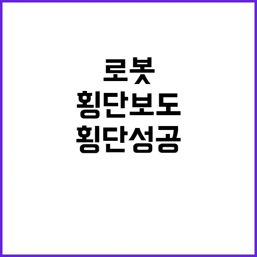 이동 로봇 횡단보도…