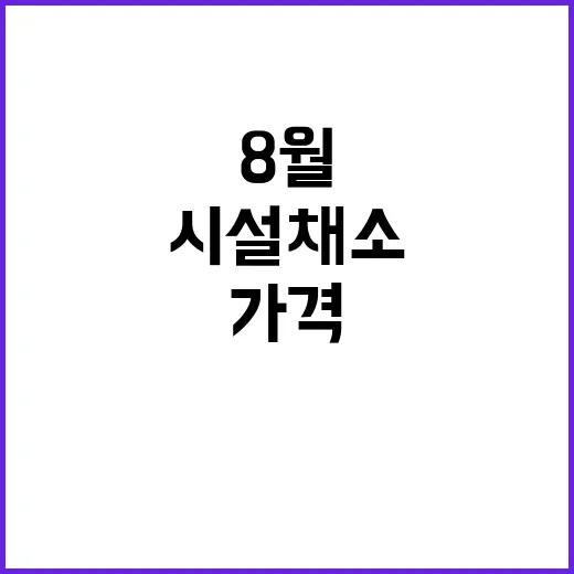 시설채소 가격 8월 중순 안정화 기대!