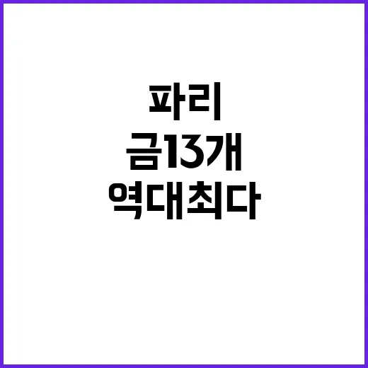 금 13개! 팀코리…