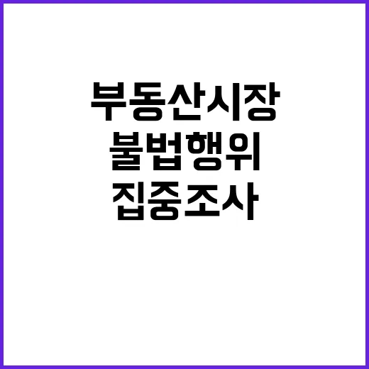 부동산 시장 ‘불법행위’ 집중 조사 결과는?