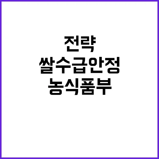 쌀 수급 안정 농식품부의 긴급 전략 공개!