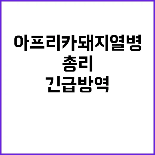 아프리카돼지열병 총리 긴급 방역조치 지시!