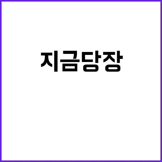 숙면의 비밀 지금 …