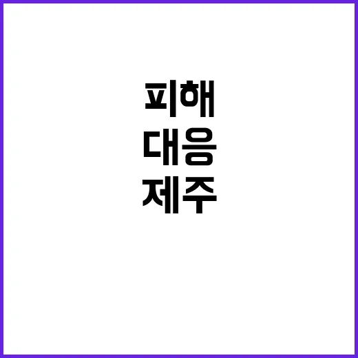 제주 당근 가뭄 피해 농식품부 긴급 대응 중!