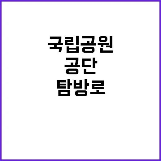 [팔공산동부] 팔공산국립공원동부사무소 기간제(탐방로보수전담팀_하반기) 직원 채용 공고