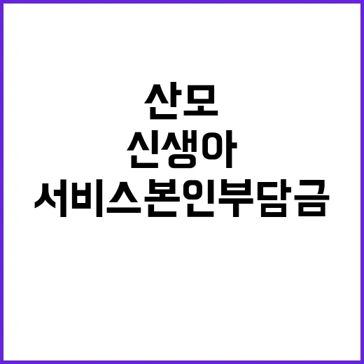 “복지부 산모·신생…