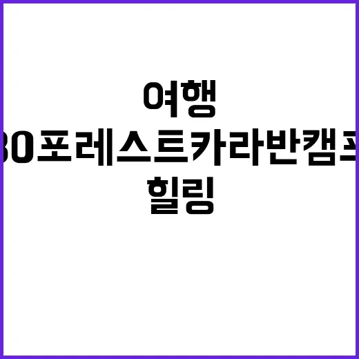 80포레스트카라반캠…