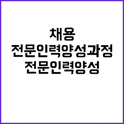 채용절차 인사처의 …