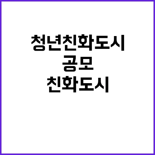 청년친화도시 공모 …