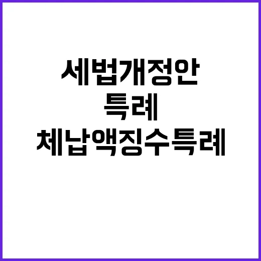 세법개정안 체납액 …