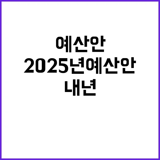 2025년 예산안 …