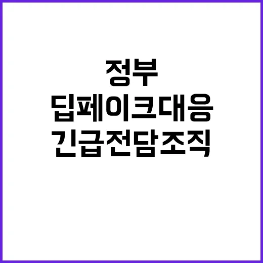 딥페이크 대응 정부 긴급 전담조직 구성 소식!