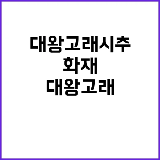 대왕고래 시추 50…