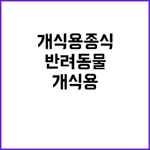 개식용 종식 반려동…