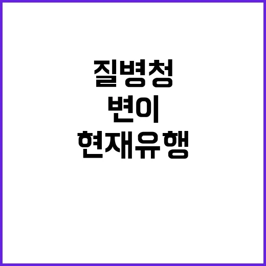 백신 현재 유행변이에 효과적이라는 질병청 발표!