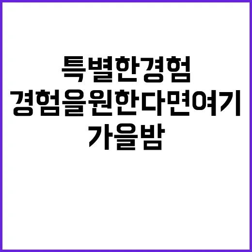 반딧불이 가을밤 특별한 경험을 원한다면 여기!