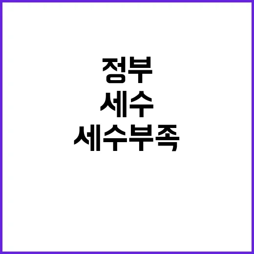 세수부족 정부의 숨…