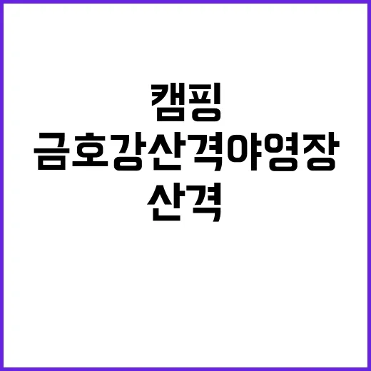 금호강 산격야영장