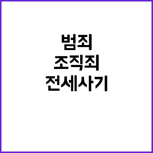 전세사기 조직 40개 적발 범죄집단조직죄 적용했다!