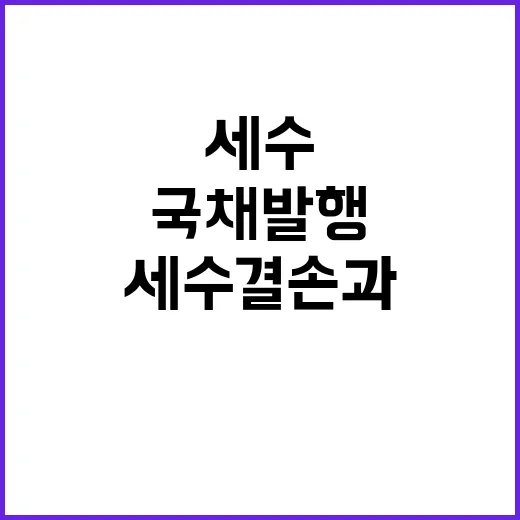 국채 발행 규모 세수 결손과 관련 없음!