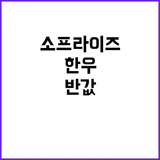 한우 반값! 소프라이즈 세일 절대 놓치지 마세요!