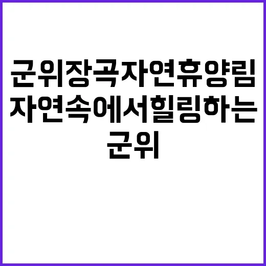 군위장곡자연휴양림 …