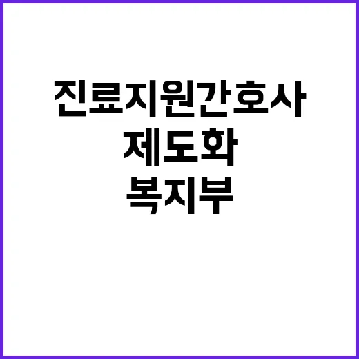 복지부 진료지원간호사 제도화 미정 사실 공개!