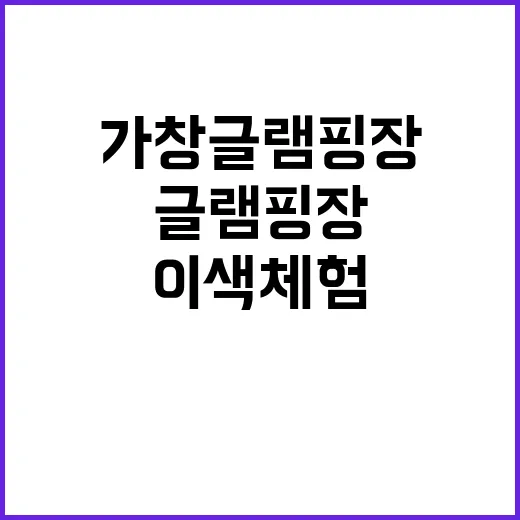 파이어씨드