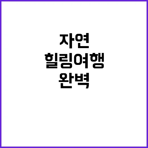 네이처파크 자연휴양림