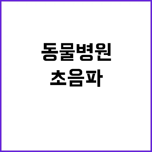 초음파·CT 비용 공개 동물병원 선택권 확대!