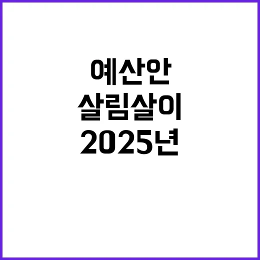 예산안 2025년 살림살이 혁신 비법 공개!