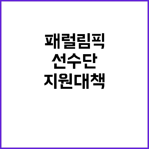 파리패럴림픽 선수단 귀국 지원 대책 공개!