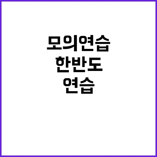 핵위기 한반도 모의연습의 놀라운 사실 공개!