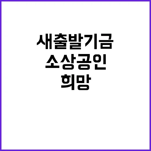 5000억 원 새출발기금 소상공인 희망 떠오르다!