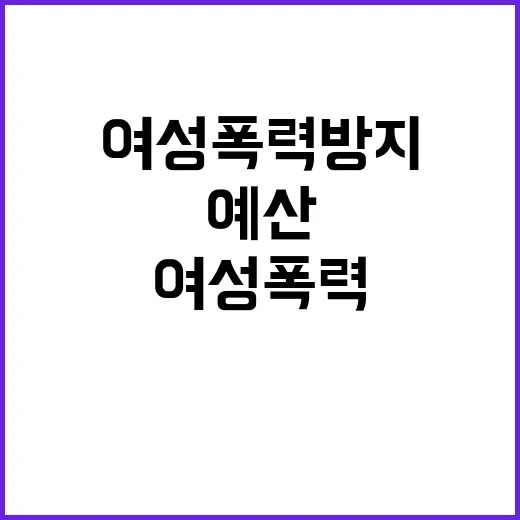 여성폭력방지 예산 …