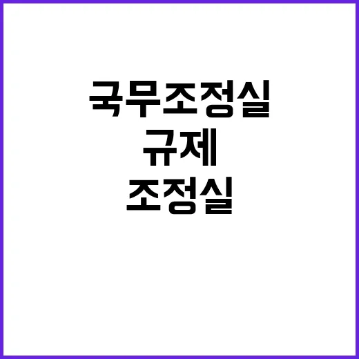 규제혁신 국무조정실의 숨겨진 전략과 진실 공개!