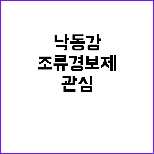 녹조 감소 낙동강 …