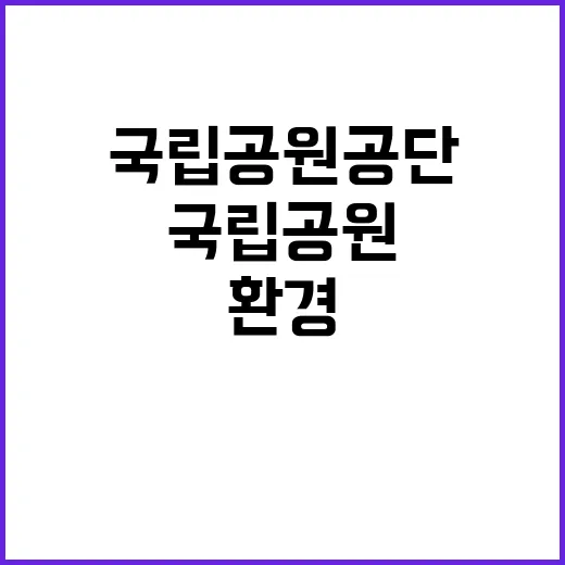 [팔공산동부] 팔공산국립공원동부사무소 가을철 한시인력(환경관리) 채용 공고