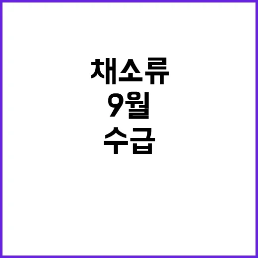 채소류 증가 9월 말 수급 개선 기대!