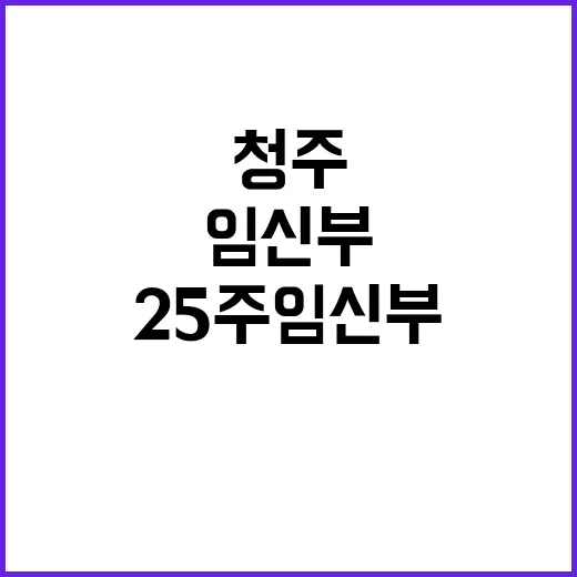 충북 청주 25주 …