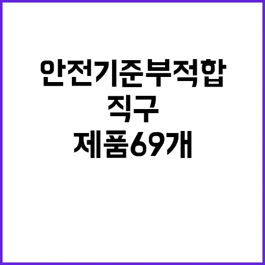 안전기준 부적합 제품 69개 직구 유통 차단!