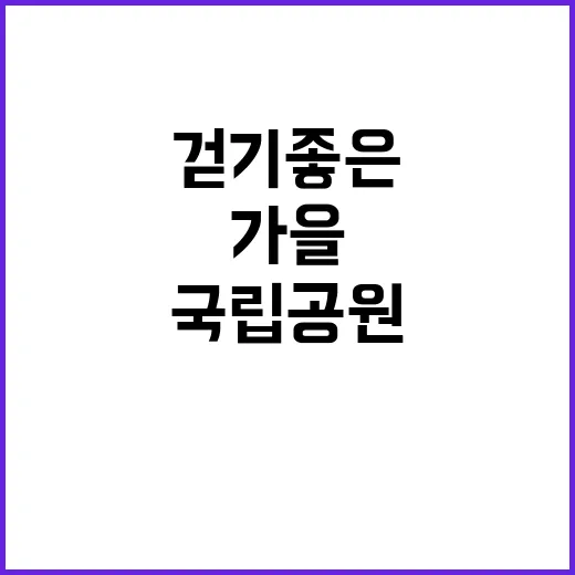 국립공원 가을 걷기 좋은 7곳 공개!