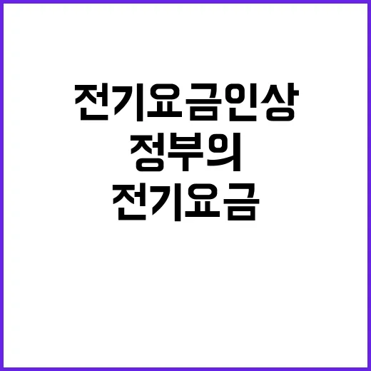 전기요금 인상 정부의 숨겨진 진실은?